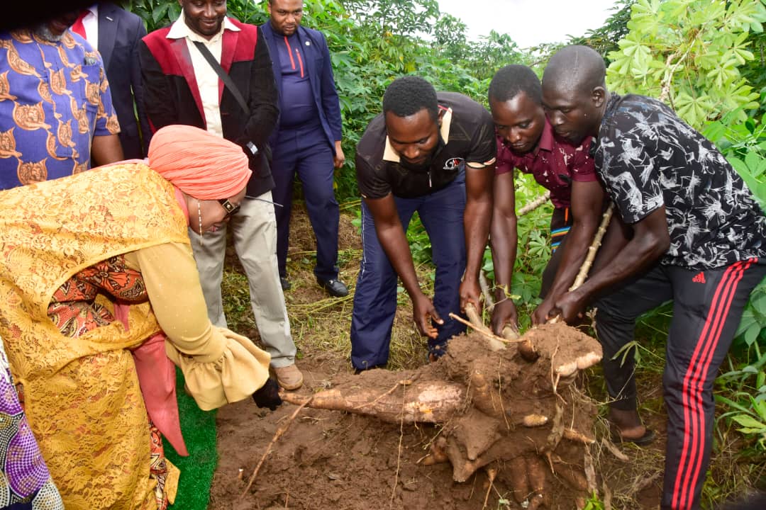 DrRamatuAliyu's tweet photo. I was honoured to flag off cassava and other farm produce harvesting championed by YEYEDU Rural Women Farmers of Godfina village, Abuja. https://t.co/bJ6i6zQ1NT