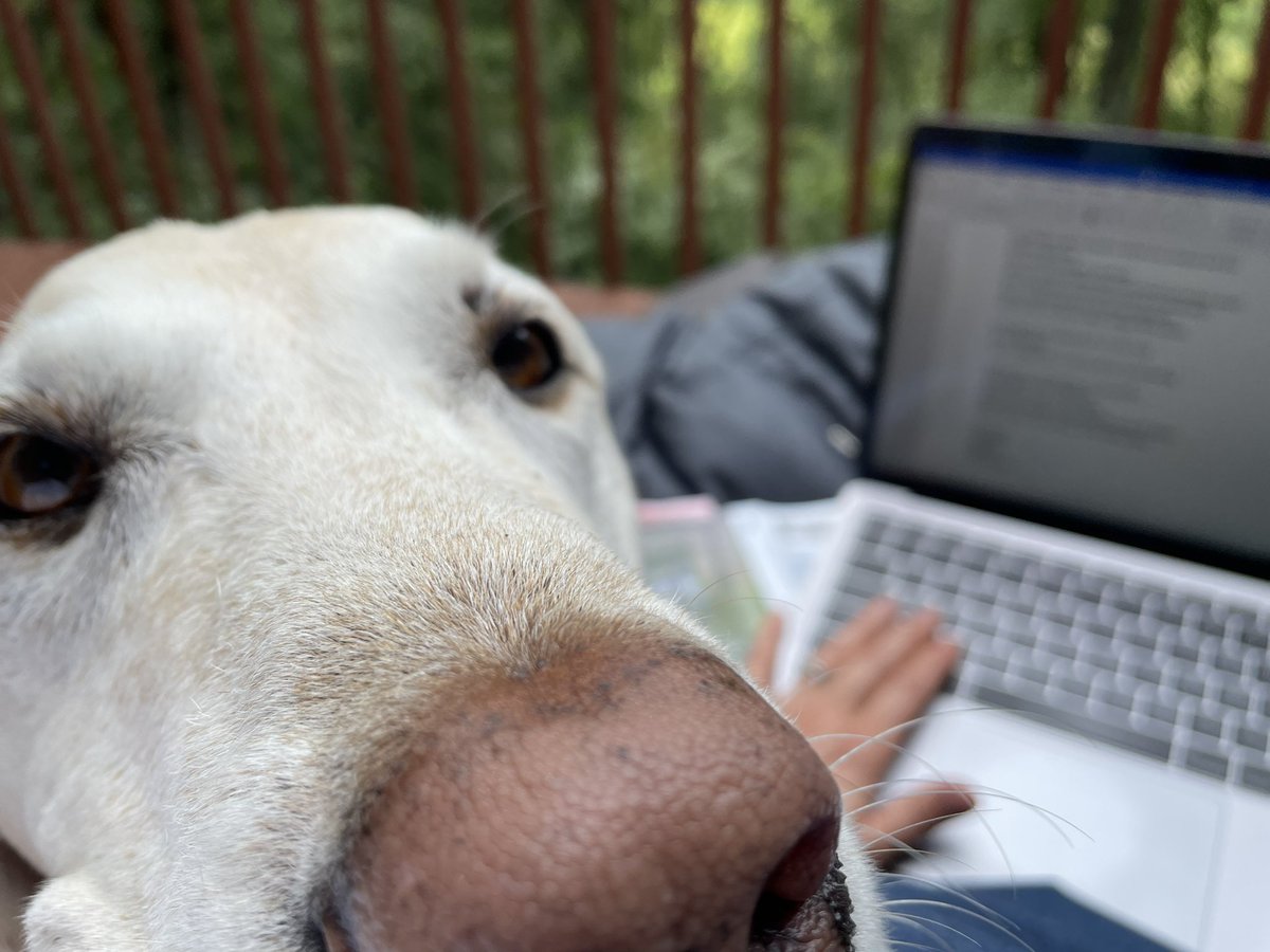 KGSpark's tweet photo. I have someone helping me with my writing...
#pastorslife
#dogsoftwitter https://t.co/BELj2nBWmF