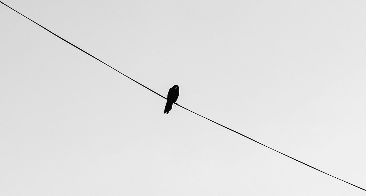 Kate08's tweet photo. Minimalism 
#photography #minimalist #bnw https://t.co/KoS86YAros