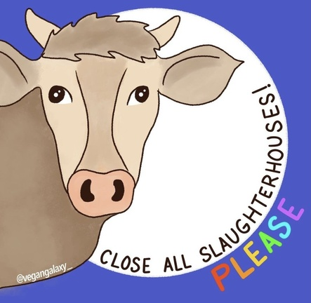 Help stop the slaughter. #GoVegan for the Animals.