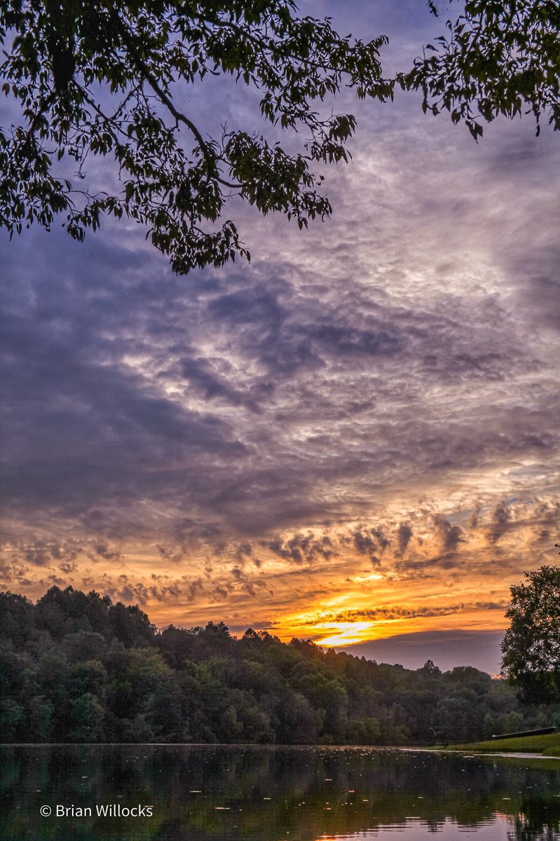 Yoda1027's tweet photo. If you do one thing to better yourself every day, imagine where you’ll be in a year.

#sunset #NaturePhotography #Canon #getoutsidetn #greatoutdoors #naturelovers #skywatcher https://t.co/QvEJMWjhiA