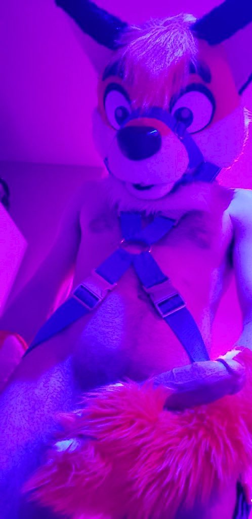 Creamstuffedfox's tweet photo. @tigerthemurrkat Sure >:3 https://t.co/hWy8tyd5oo