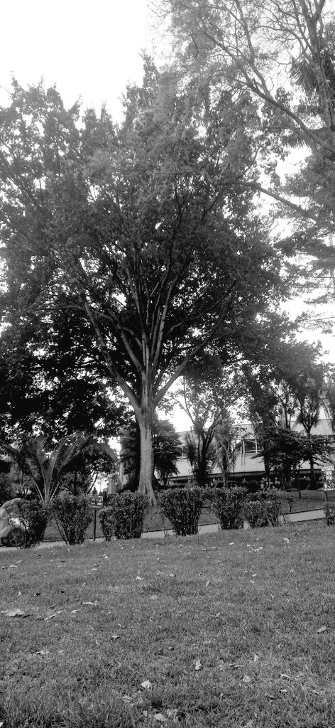 juanDAC_Dev's tweet photo. Nada como una tarde en el parque :3 https://t.co/fOzGK4ZYTA