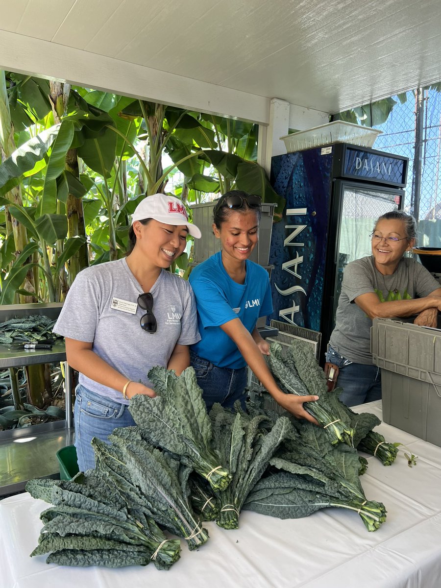 SVP_DrK's tweet photo. Thanks @almabackyardfarms for welcoming our students for ServeLA! Much appreciation to our @csa_lmu team for all their work in coordinating a fantastic experience for our new students. And yes we had a tug of war @lmustudentexp @LoyolaMarymount #servicetoothers #lmustudentaffairs https://t.co/BnXrj77ENL