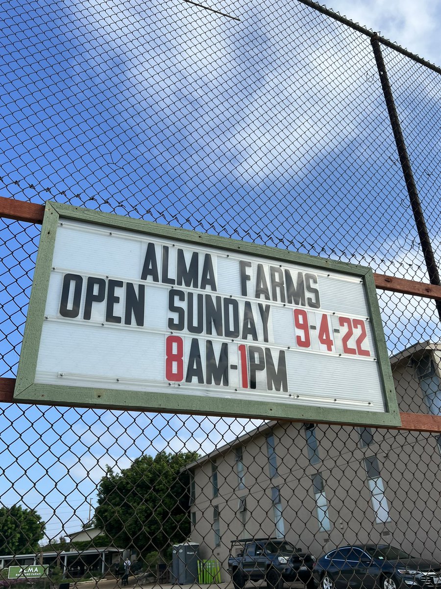 SVP_DrK's tweet photo. Thanks @almabackyardfarms for welcoming our students for ServeLA! Much appreciation to our @csa_lmu team for all their work in coordinating a fantastic experience for our new students. And yes we had a tug of war @lmustudentexp @LoyolaMarymount #servicetoothers #lmustudentaffairs https://t.co/BnXrj77ENL