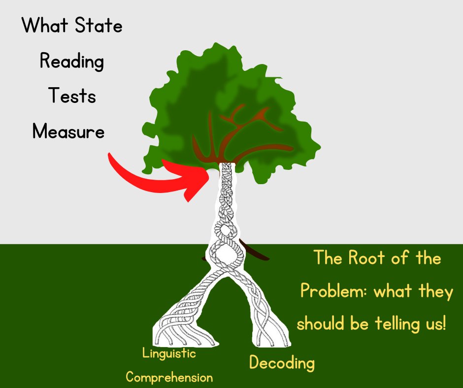 When will state #reading tests actually help teachers determine the root of the problem? The answer does not lie in more instruction on isolated comprehension skills. #literacyforall #scienceofreading #readingrope #sor