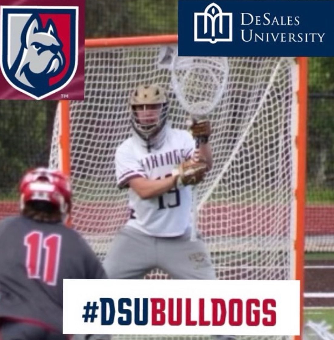 VIKING NATION tweet media