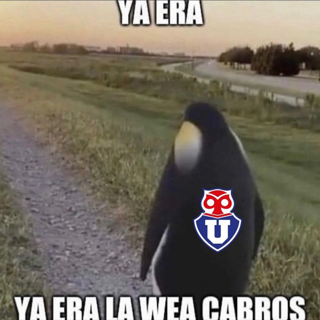beduardo9's tweet photo. @udechile Derechito a la B https://t.co/sShoWK1joo