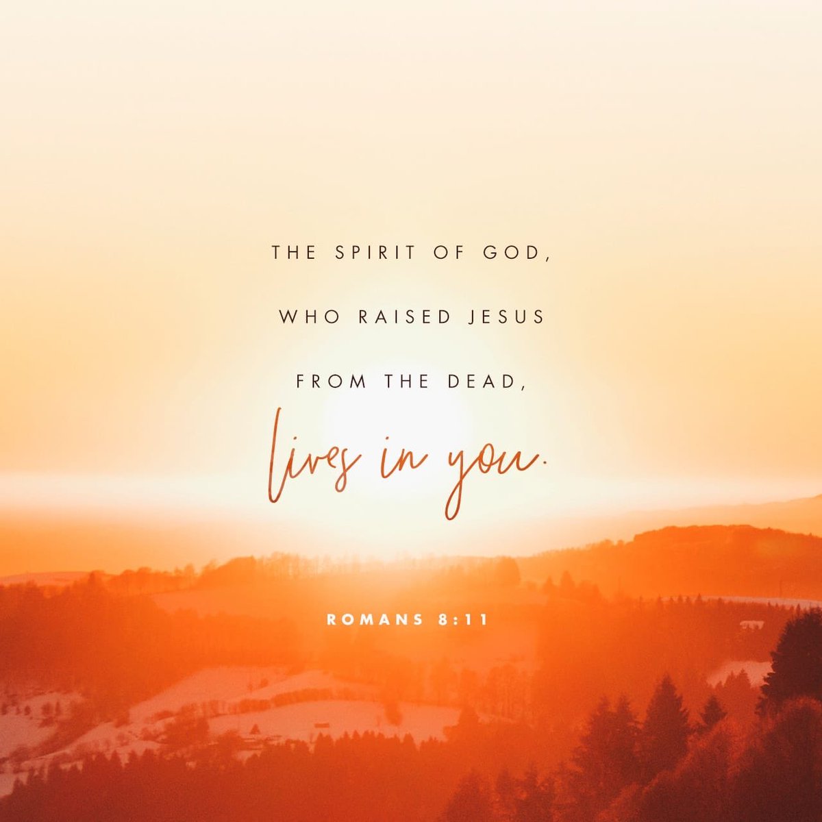 REACHSarasota's tweet photo. Good news from our Bible study today! Romans 8:11. You can rewatch today’s study on Facebook and YouTube. https://t.co/RO41OS849n