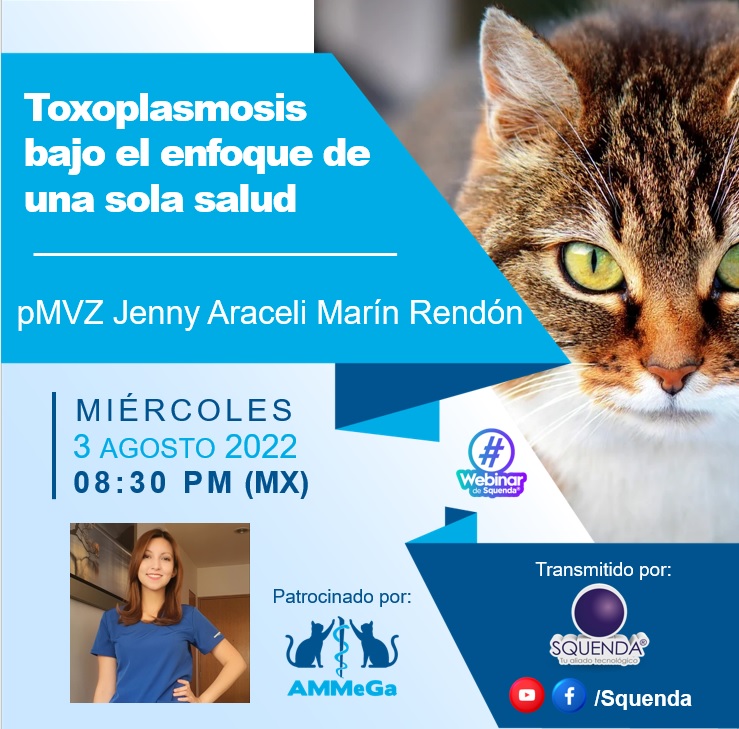 SQUENDA's tweet photo. 💻 El #Webinar de @Squenda Presenta
📃 Toxoplasmosis bajo el enfoque de una sola salud
🗣 pMVZ Jenny Araceli Marín Rendón
📆 miércoles 31 de Agosto 2022 8:30 pm
😉 Patrocinado por #AMMEGA
🎥 Transmitido por https://t.co/XGJHtTp9jp y https://t.co/WLna3hZP5n https://t.co/UdG91LyMbI