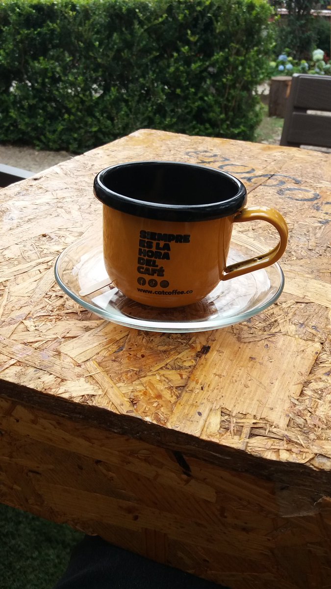 nomehac's tweet photo. Un participante en #CoffeeMaster Bogotá. Malo tendiendo a horrible. 
El jardín: una delicia https://t.co/QGDp948lQ3
