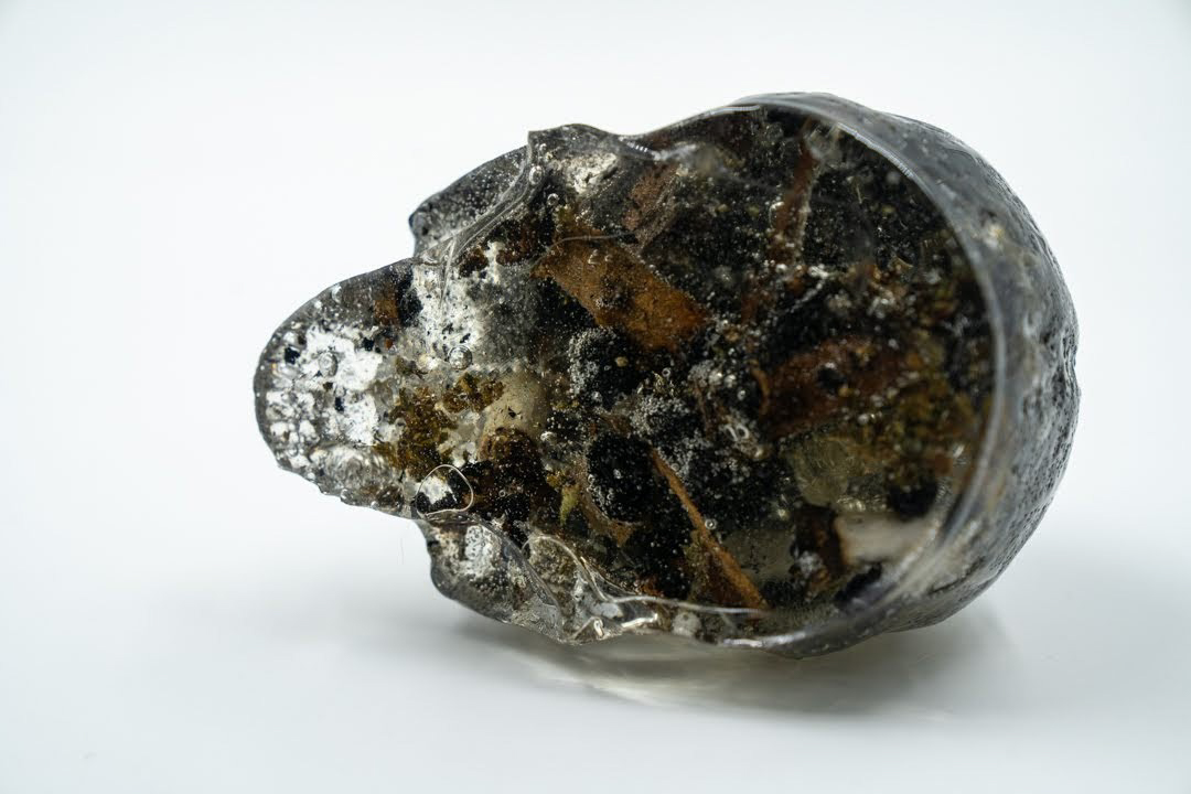 chromehorns's tweet photo. Pot Head https://t.co/tdoLD1ofTm