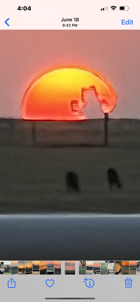 colt_ferrell's tweet photo. Garfield drinking beer in sunset https://t.co/9AxI4hbImK