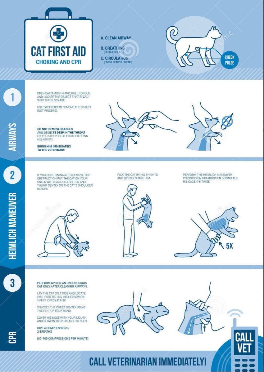 It is always worth our humans being prepared in case we get into trouble. Here is a #Dogs #Cats first aid poster with helpful information on resuscitation, choking, heimlich manoeuvre & doing CPR #OTLFP #CatsOfTwitter #DogsOfTwitter
