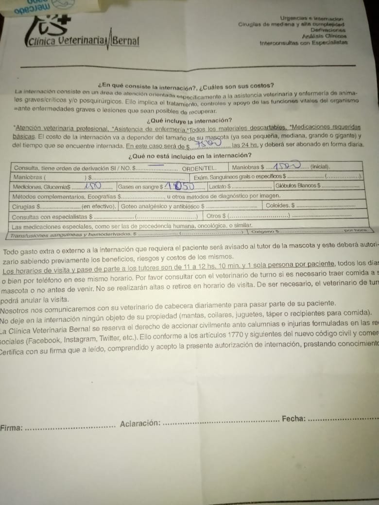 alimisa99's tweet photo. #URGENTE #donacion #ayudagato #catloversclub #ayudaanimal #ayudagatos #ayudagatuna #ayudagatoscalle #catstagram #cats #catloversclub #catlove #catoftheday #gato #gatos
Hoy haré un directo para recaudar lo necesario para que Lucho(mi mod) pueda costear la cirugia de su gato-> https://t.co/fbRAM27YkX