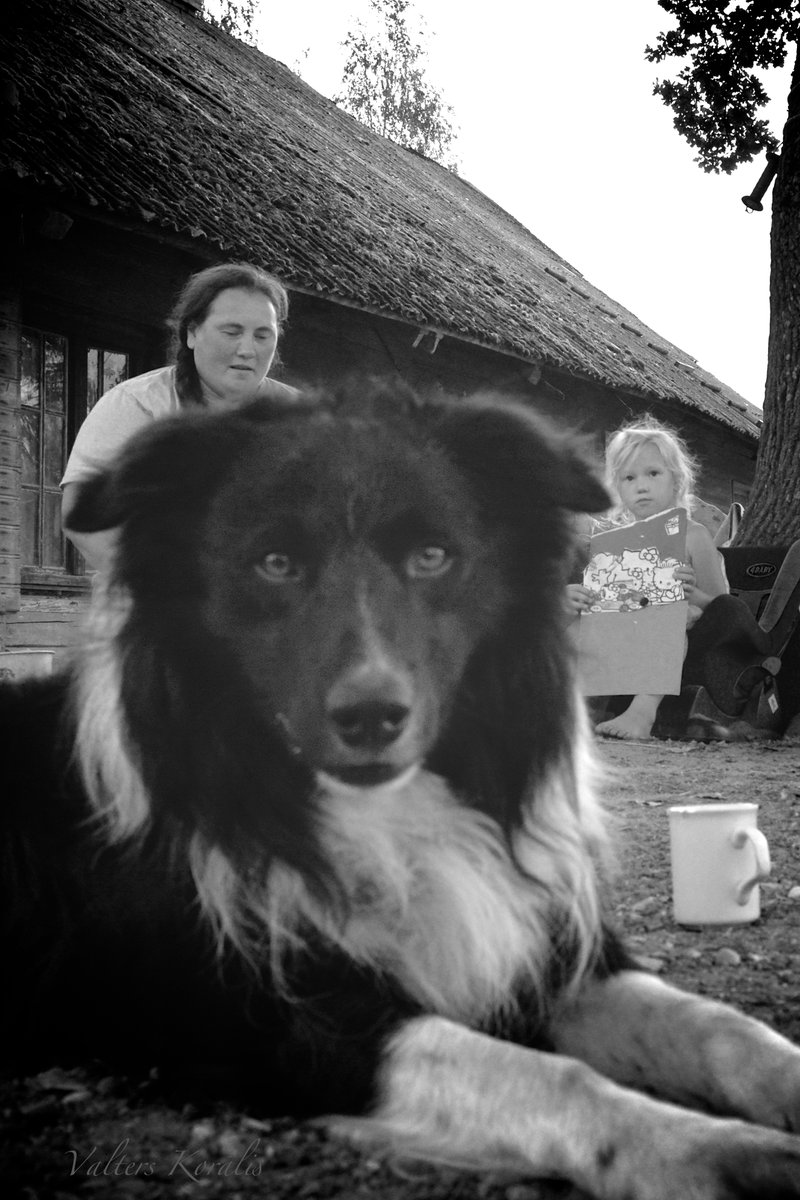 vkoralis's tweet photo. SEŠAS ACIS
jeb mirklis, kad negribas smieties par reinkarnāciju...
Dažreiz fotografēju. /VK/
#mirklis #ciemos #foto #reinkarnācija https://t.co/lhScrTcYPh