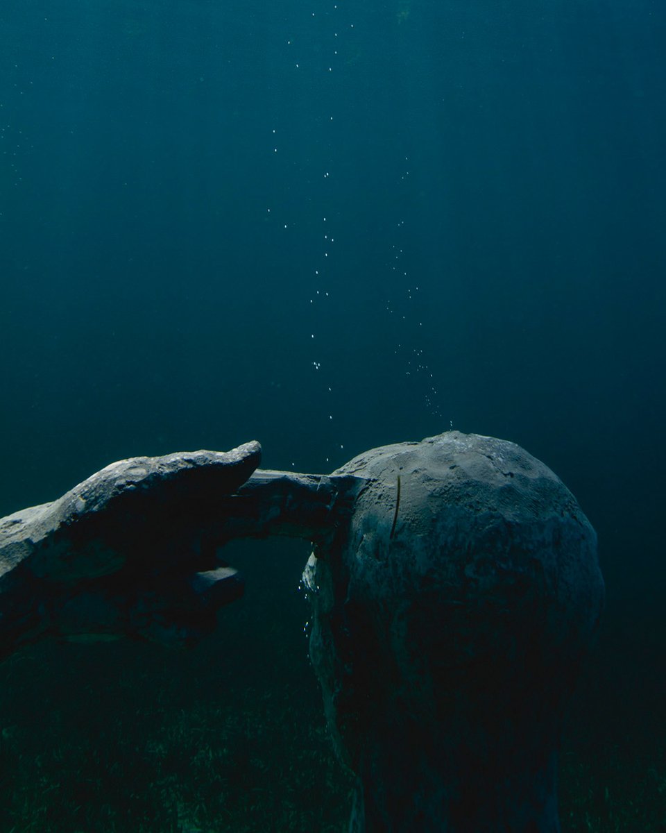 TheStillsAgency's tweet photo. ¨Sin Titulo¨ escultura de @elier_amado_gil
Fotografías para el Museo Subacuático de Arte en #Cancun. #underwatermuseum https://t.co/vGuE89ZXzy