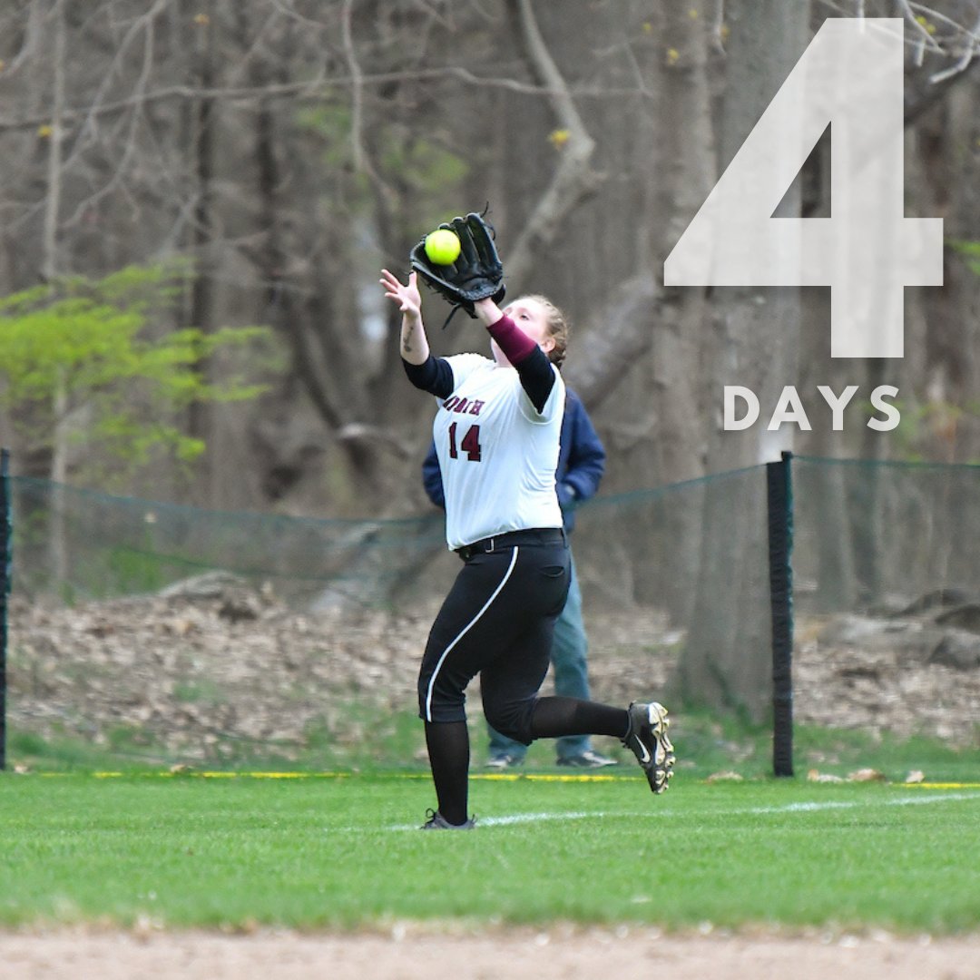 4 days until Wildcats softball moves back onto Bay Path’s beautiful campus!
#bpusoftball #baypathsoftball #bpusb #baypathsb #baypathathletics #bpuathletics #bpuwildcats #baypathwildcats #bpu #baypathuniversity #baypath #collegesoftball #softball #USCAA #USCAADI