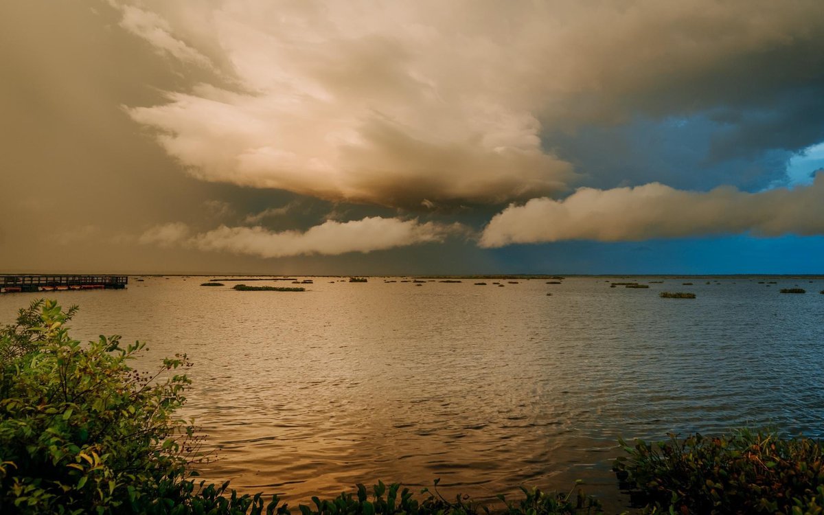 WorkByWolfe's tweet photo. split sunset, paynes prairie. https://t.co/JRE5CGdJm6