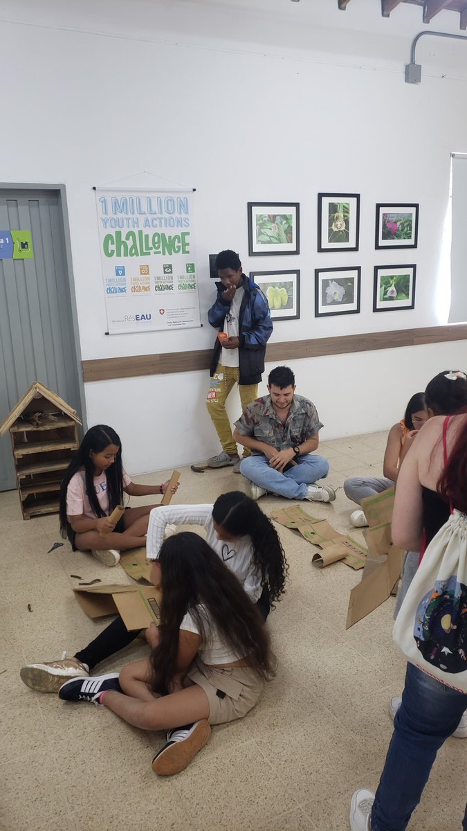 Elalejosanchez's tweet photo. Hoy desde la @BibliotecasMed El Limonar, aceptando el reto de @1MYACglobal de construir un hotel para insectos. @SwissDevCoop #youthactsnow #1MYAC https://t.co/6Dpz1Kx0kZ