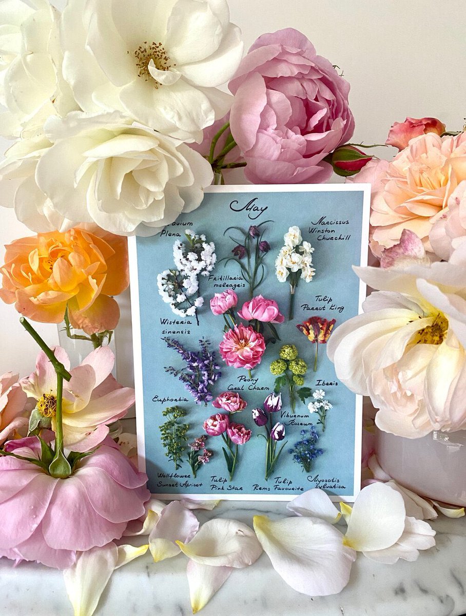 Introducing set of 12 Botanical Cards presented in a beautiful gift box! Based on my bestselling monthly posters this set features flowers from my garden. Perfect present for someone who loves flowers and gardening! 
Shop on my website: london-blooms.com