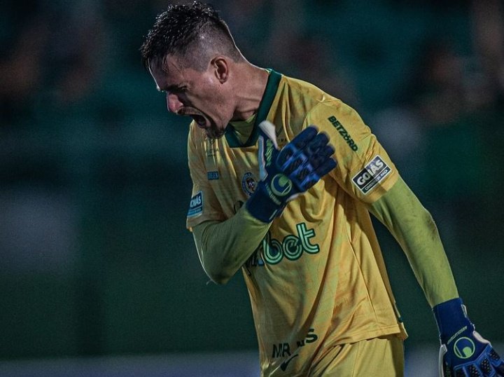 gecao_da_massa's tweet photo. VITORIA ESMERALDINA 🇳🇬
OBRIGADO PELOS 6 PONTOS LAGARTIXA E VOLTE SEMPRE✅ https://t.co/pjuQVK85im