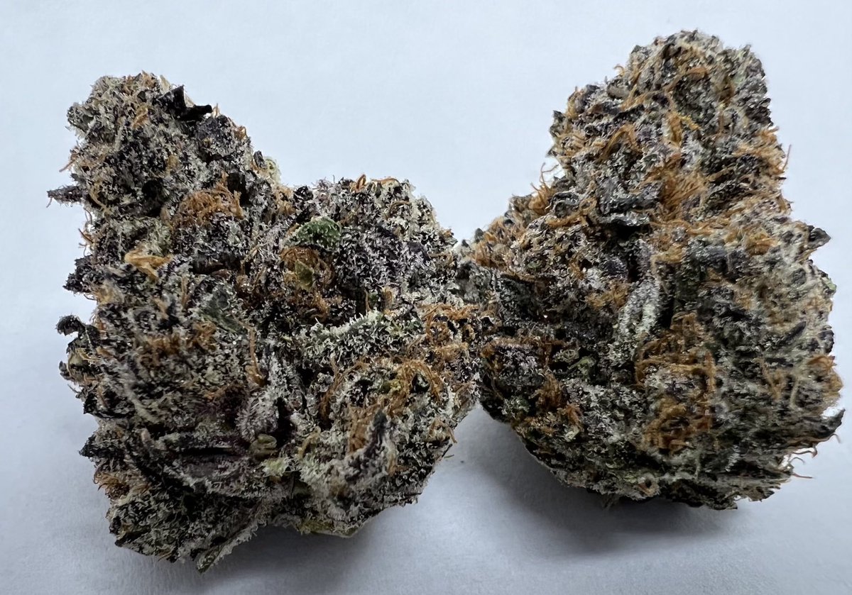 { Pluto } Just dropped at Cookies { Miami }