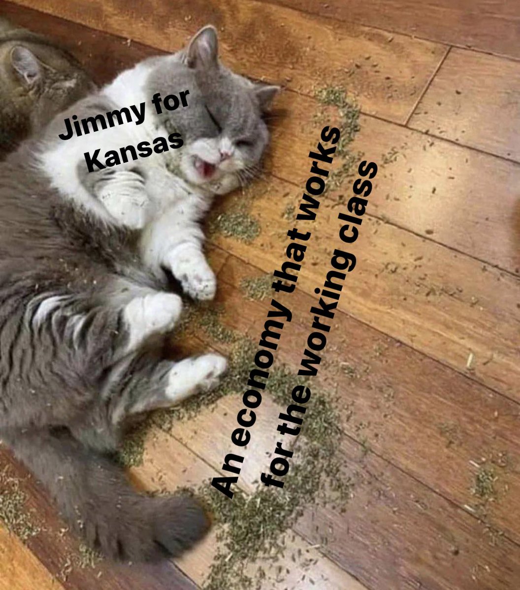 Jimmy Beard tweet media