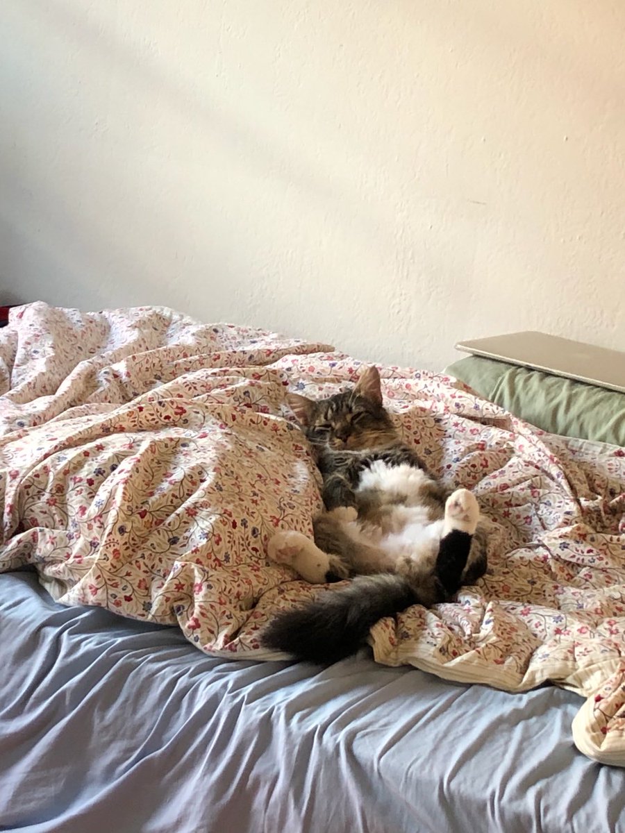 I just can’t believe this little guy is waiting for us. 😭