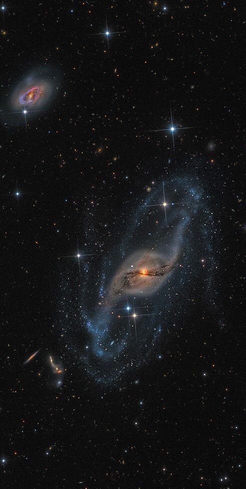 ᶜᵒᵘᶰᵗ tweet media