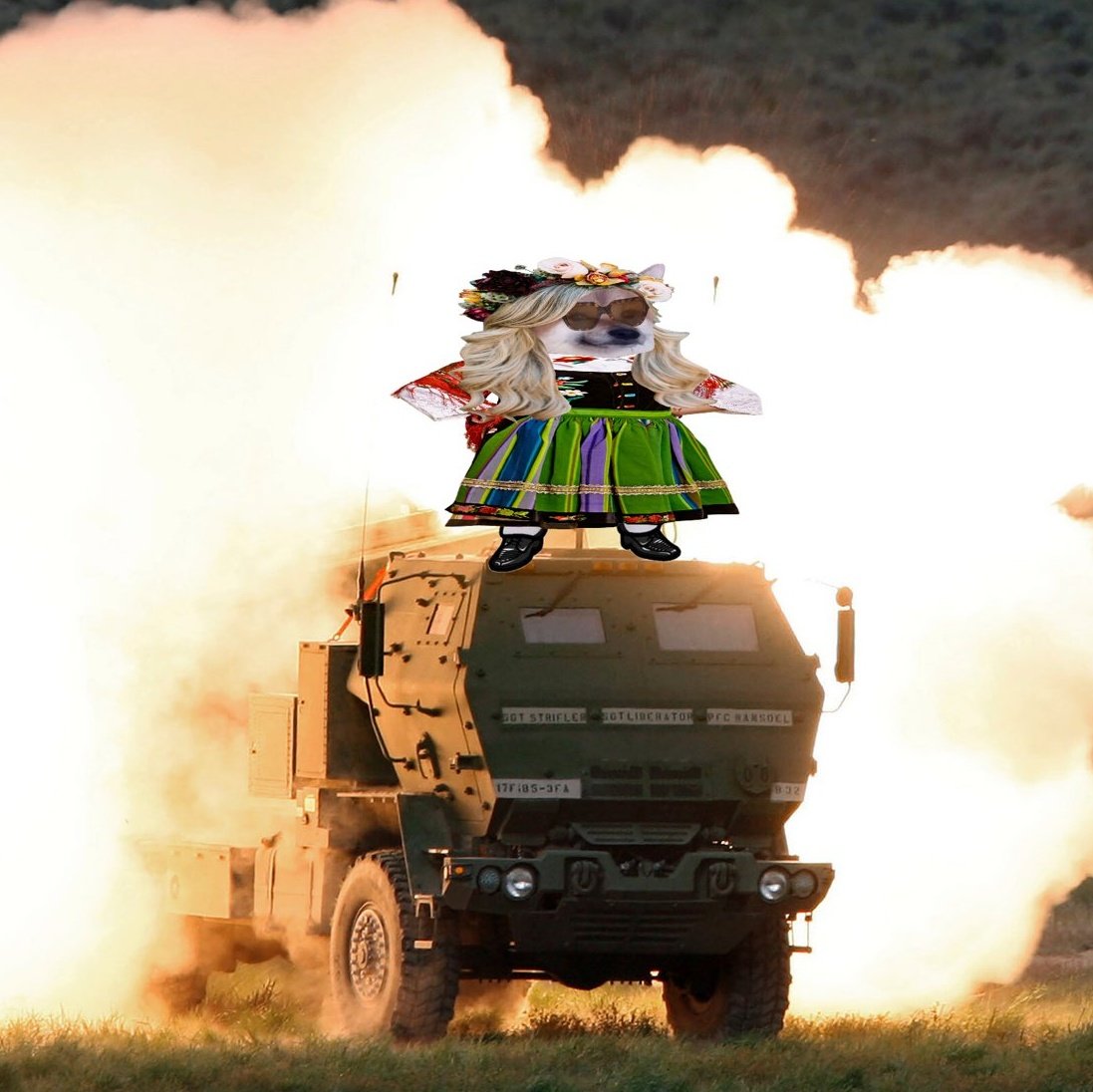 Emi 🇺🇦🤝🇵🇱✈️🇮🇪🇪🇺🇺🇸 tweet media