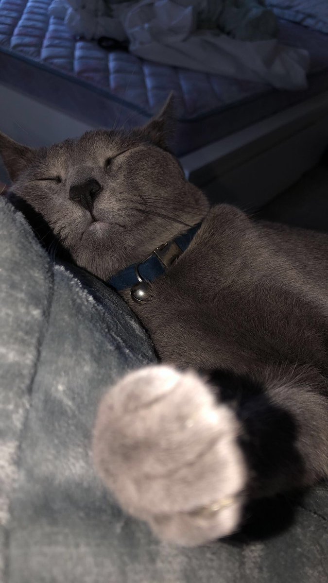 KlutzyRay's tweet photo. baby boy 🤍 https://t.co/sDaWtVKlqU