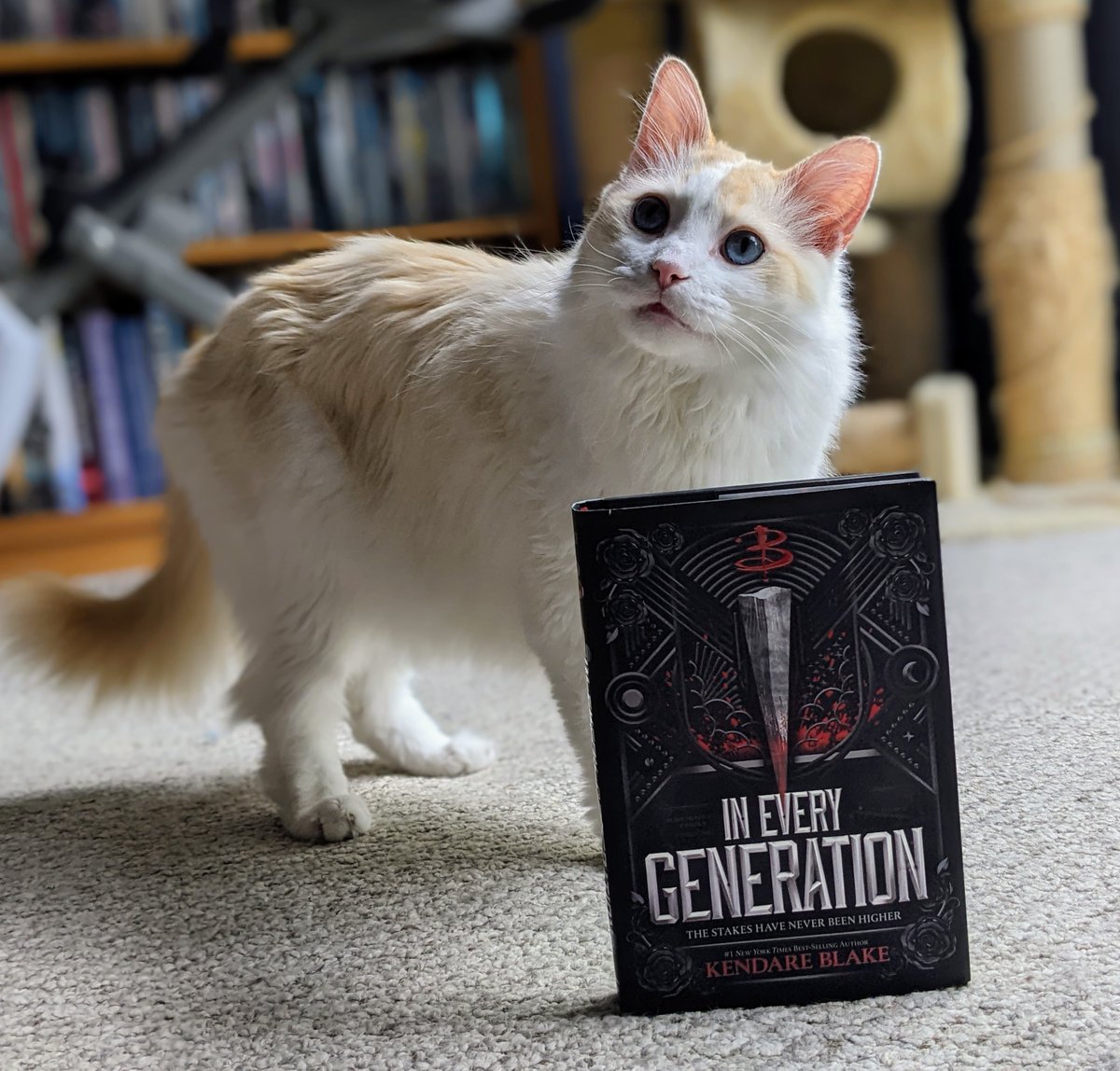 UncleT_Bag's tweet photo. I miss #BuffyTheVampireSlayer but with the continuation of stories in the Buffyverse, now I don't have to! #InEveryGeneration by @KendareBlake picks up a new story with some new characters that I can't wait to meet! #CatsofTwitter https://t.co/PW9UgZ5SUz