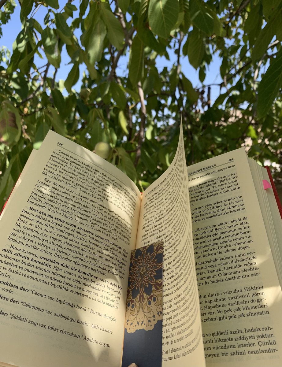 "Başını kaldır, kendini tanıttırmak isteyen fa'al ve kudretli bir zâtın hârika işlerine bak!
Sen başıboş olmadığın gibi, bu hâdiseler de başıboş olamazlar. Her birisi çok hikmetli vazifeler peşinde koşturuluyorlar.
Bir Müdebbir-i Hakim tarafından istihdam olunuyorlar..” |RNK