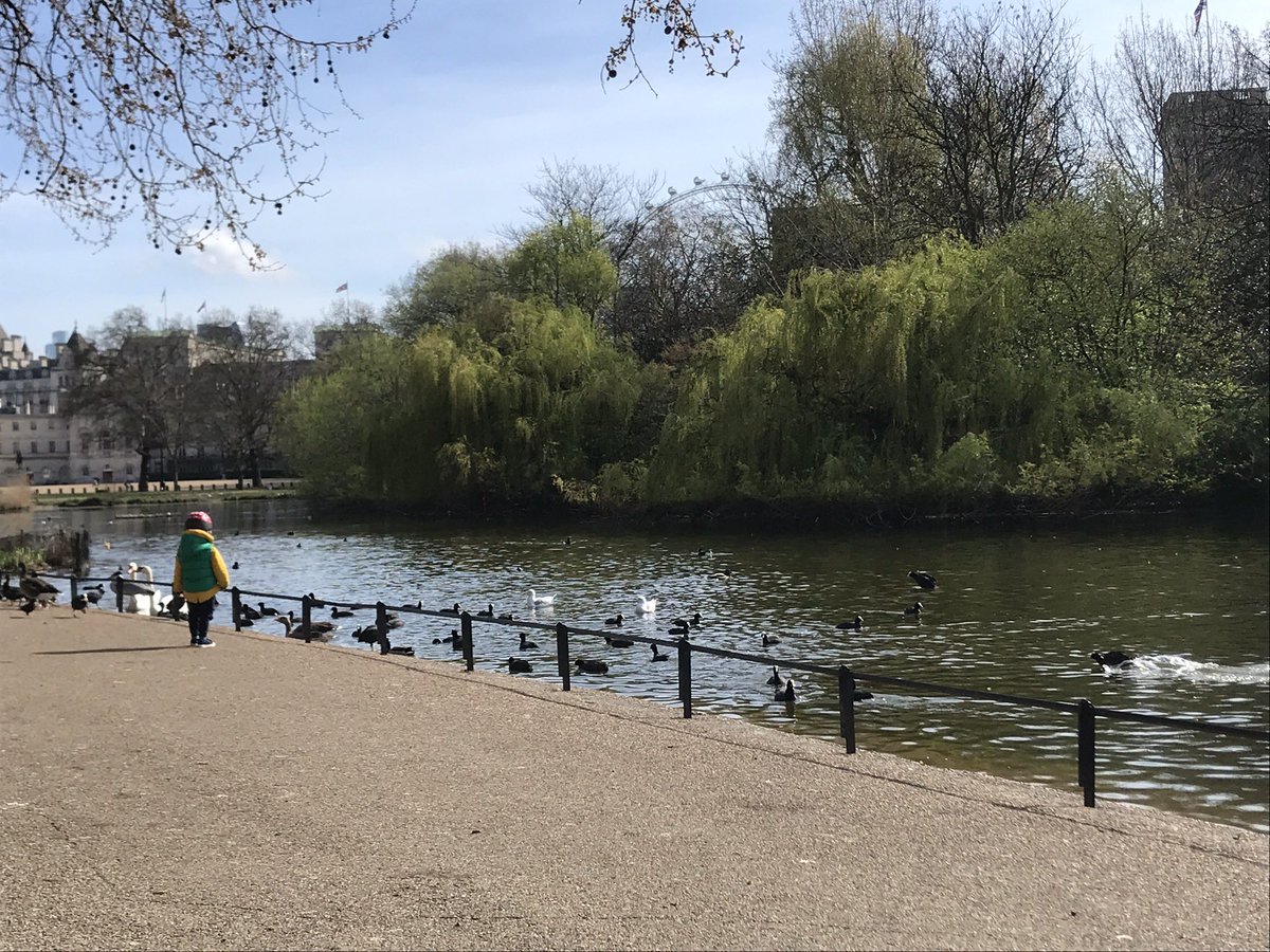 francesca_kms's tweet photo. Wise words @MrJamesMay. Here are some photos from the “surreal video game” which was #Spring2020! #LeicesterSquare #BuckinghamPalace #StJamesPark #TrafalgarSquare #lockdowncycling #biketravel https://t.co/40ZAnhICFN