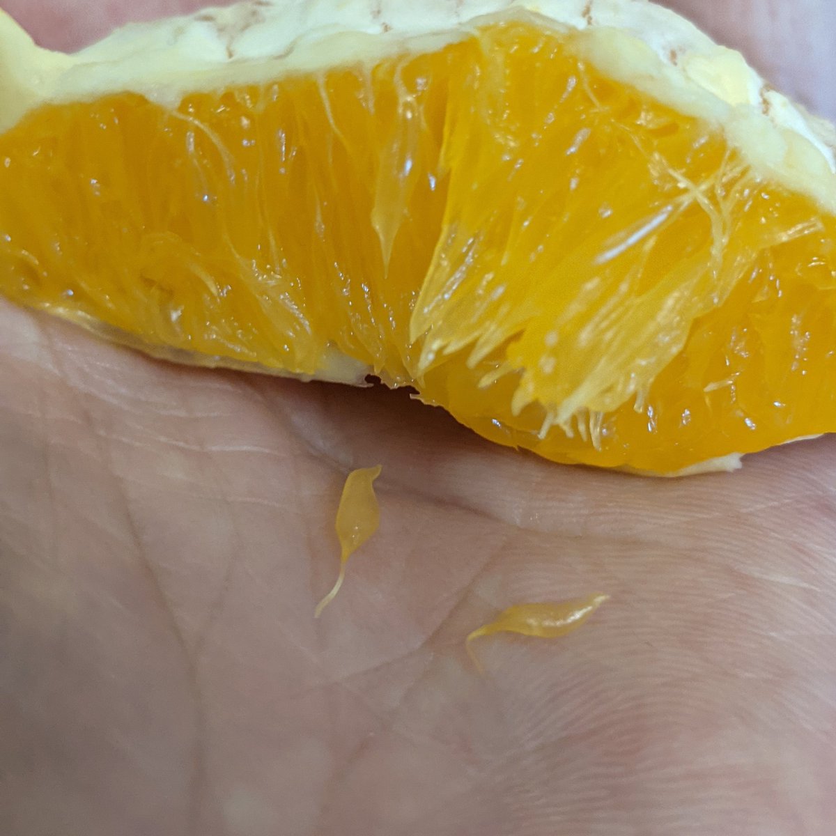 Jamie Ahloy Dallaire tweet media