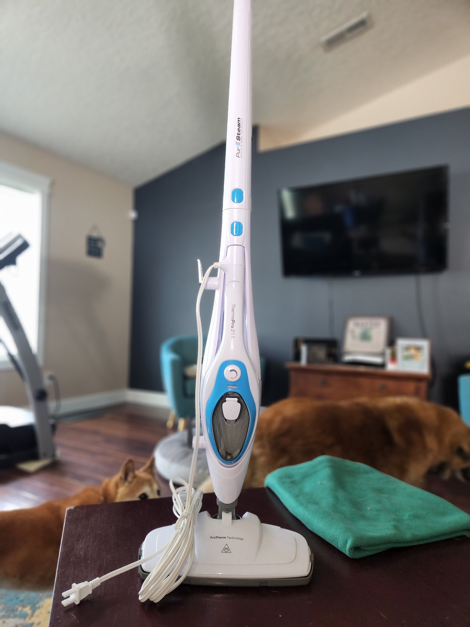 Jen W on X: My new baby. Thanks to @AshaRangappa_ for the steam mop  recommendation! I'm a little nervous how it'll impact my laminate wood  floors. Will first try on tile and