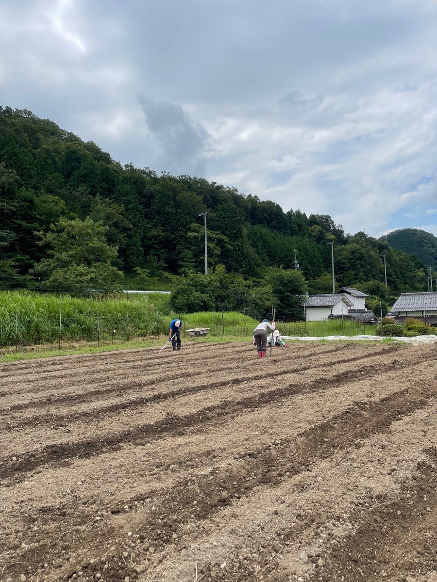nativelifekale's tweet photo. にんじん種蒔き
8月ギリギリになってしまいましたが、にんじんの種を蒔きました。冬の人気No1のにんじん。今年は３種類植えています🥕
#ともときファーム丹波 #にんじん #雪下にんじん https://t.co/fZBrDHhNP8