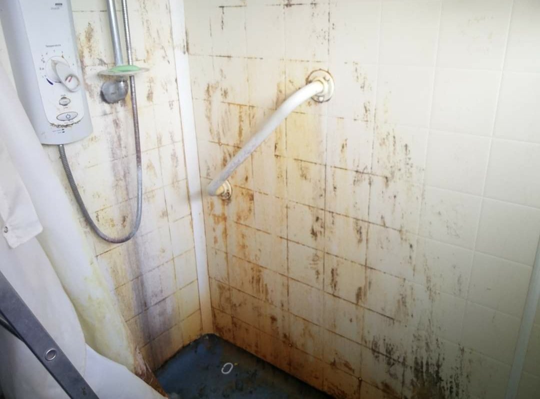 evilhomer tweet media