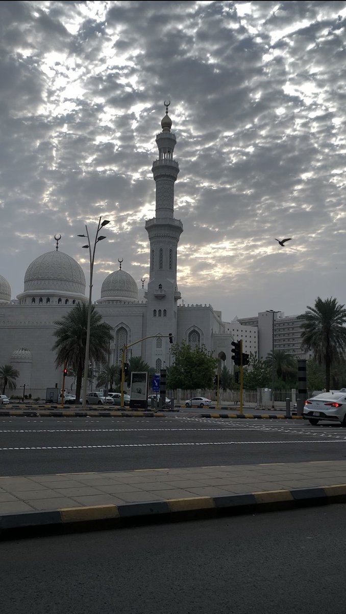 يزن... tweet media