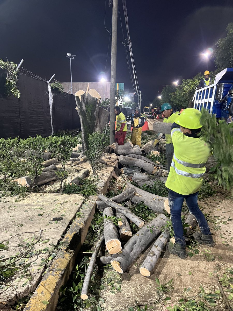 <a href="/USEmbassyMEX/">Embajada de EE.UU. en México</a> Shame on you <a href="/JoeBiden/">Joe Biden</a> 

Imagine what would happen if a Mexican Consulate dared to cut a single tree branch in a U.S. sidewalk.