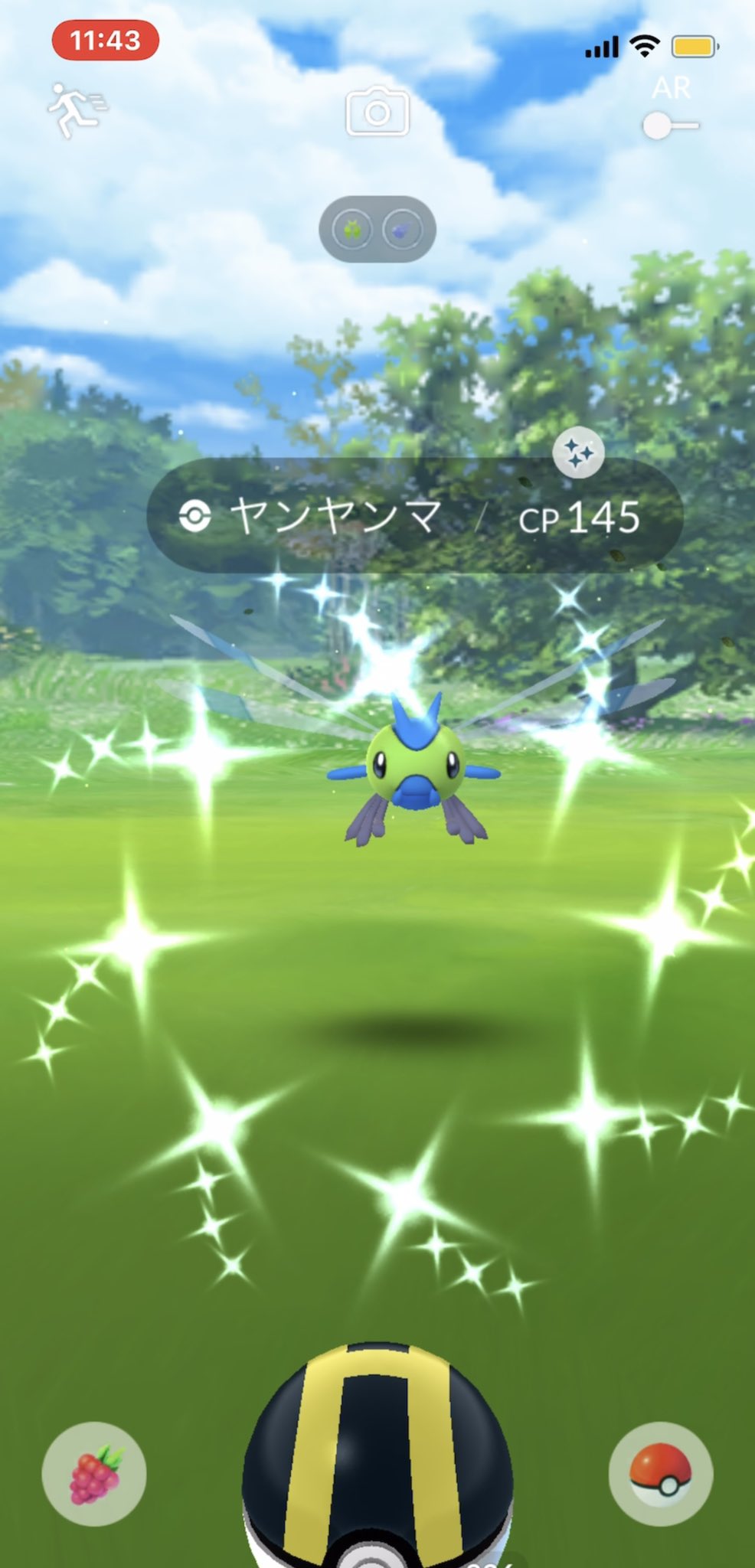 ヤンヤンマ Twitter Search Twitter