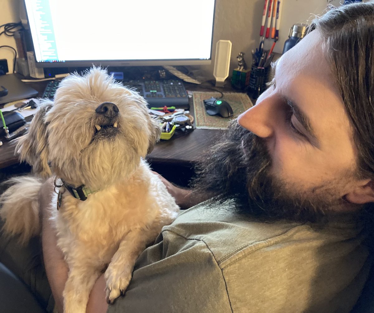 goodboygomer's tweet photo. FEED. ME. #dinnertime #neglected https://t.co/PHXxqoAv2r
