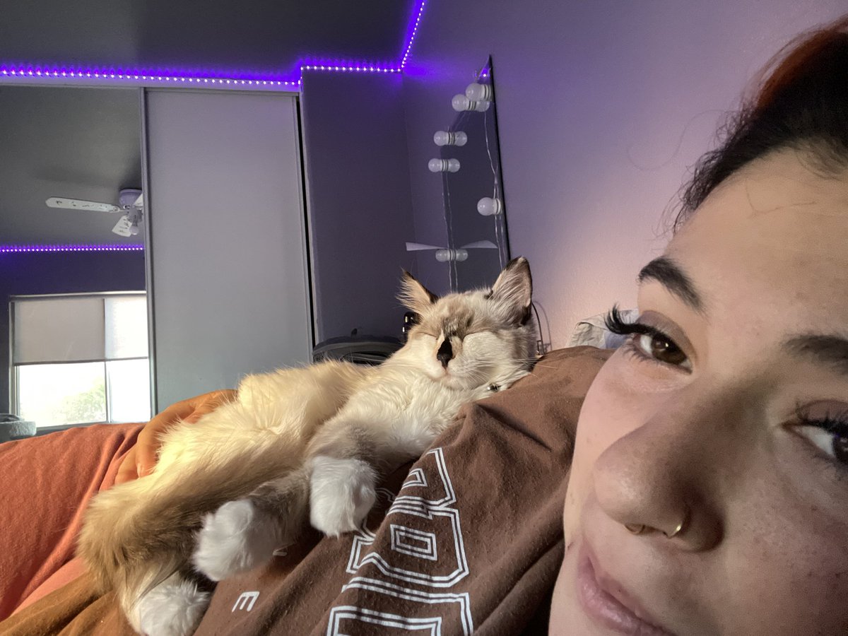 bobbiee23's tweet photo. lavender is the realist bitch I’ve met in years https://t.co/lZUiJCERO0