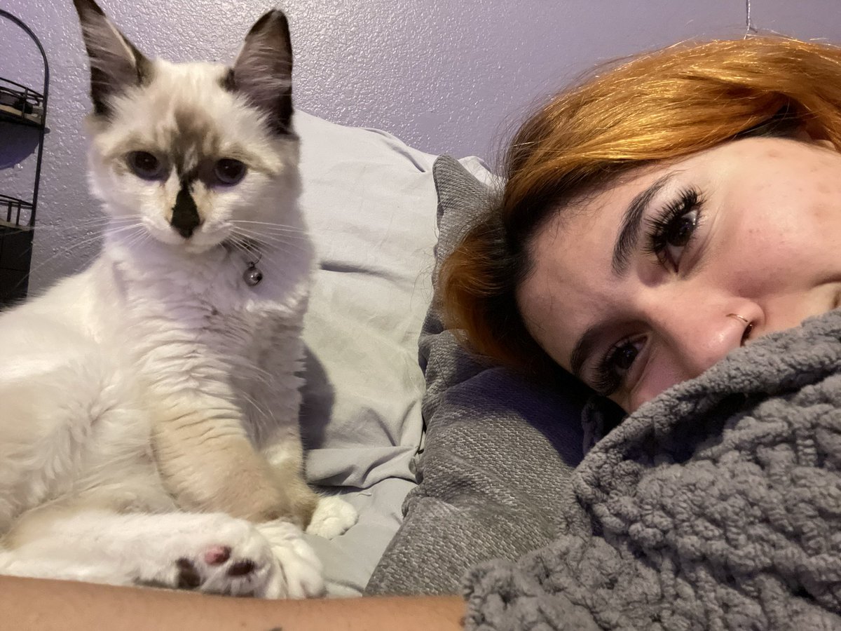 bobbiee23's tweet photo. lavender is the realist bitch I’ve met in years https://t.co/lZUiJCERO0