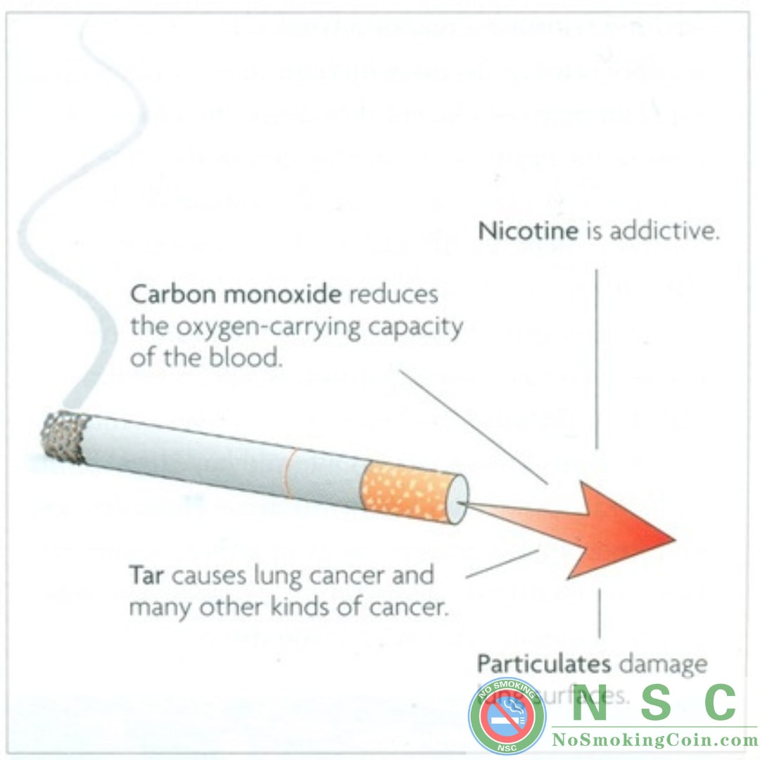 Cigarette smoke is a complex mixture of chemical compounds that are bound to aerosol particles or are free in the gas phase. Chemical compounds in tobacco can be distilled into smoke or can react to form other constituents that are then distilled to smoke. 
#NSC #NoSmoking