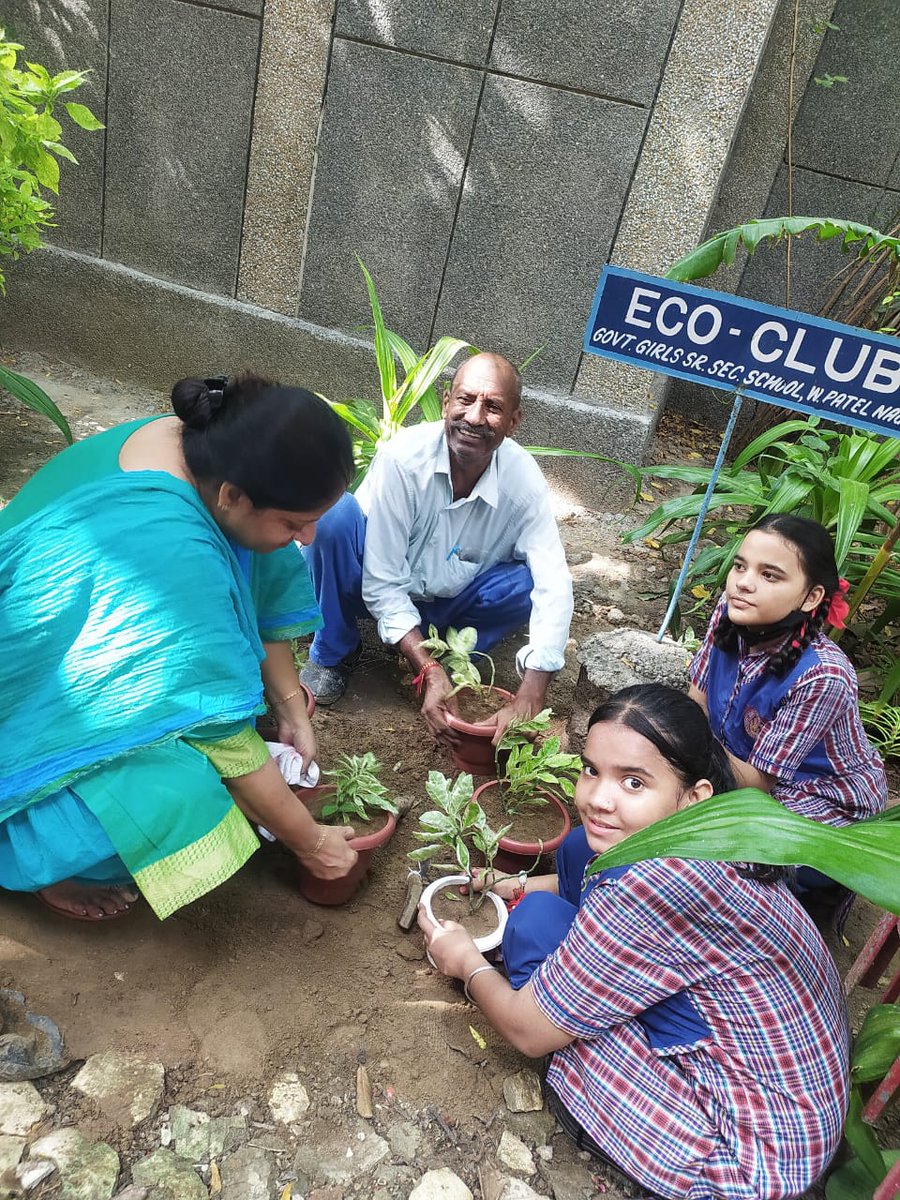 GgsssWpn's tweet photo. Special Tree Plantation Drive August 2022 at GgsssWpn 1516141
#GgsssWpn
@Dir_Education https://t.co/baL63D1AR2