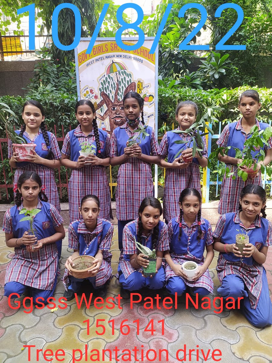 GgsssWpn's tweet photo. Special Tree Plantation Drive August 2022 at GgsssWpn 1516141
#GgsssWpn
@Dir_Education https://t.co/baL63D1AR2