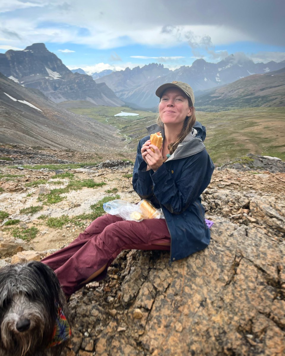 Elizabeth Gadd tweet media