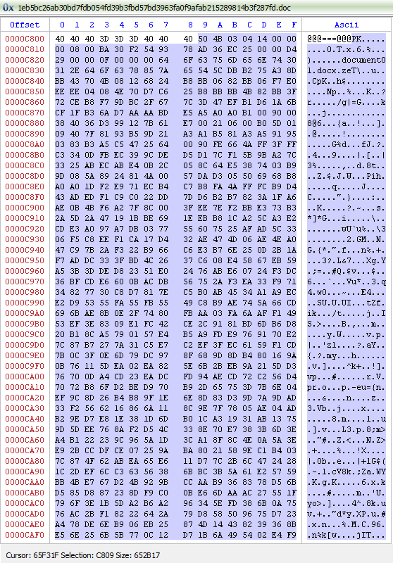 StopMalvertisin's tweet photo. Anaya shoot feedback.docx
Submitted from IN
e64399c152f9bedd3ca54cccdab6469e

Attached template: https://templatesoffices[.]com/en-us/letters/tm83/csd/flyer.png
8cf97f8f60792dc2c7b9dd0ab55b0bd2

Anti-VM
ZIP file after the "@@@===@@@" marker.
- document01.docx
- theme01.xml -> PE https://t.co/CHUR355Ydj